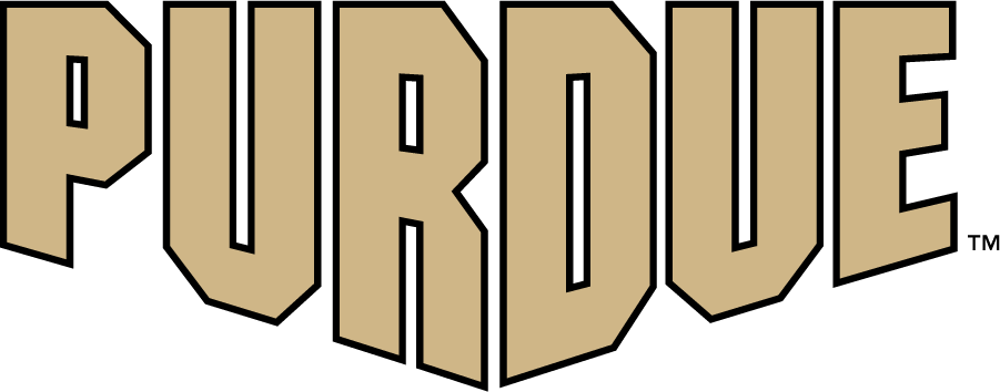 Purdue Boilermakers 2020-Pres Wordmark Logo v2 iron on transfers for T-shirts